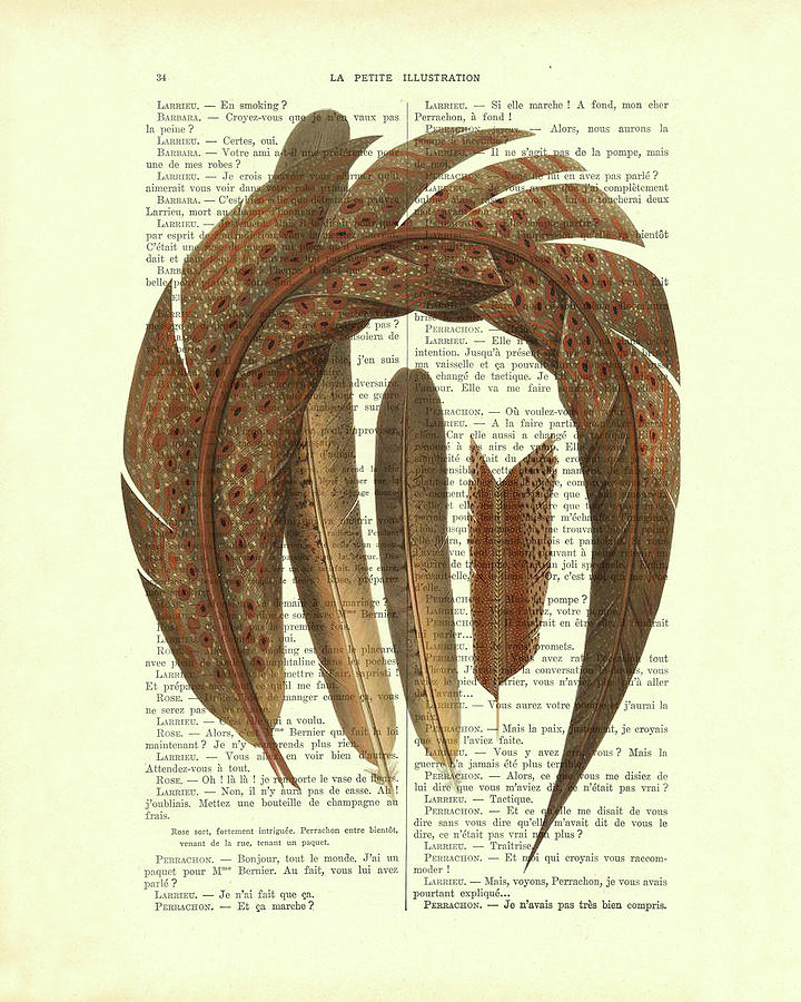 Pheasant Mixed Media - Pheasant feathers on antique book page by Madame Memento