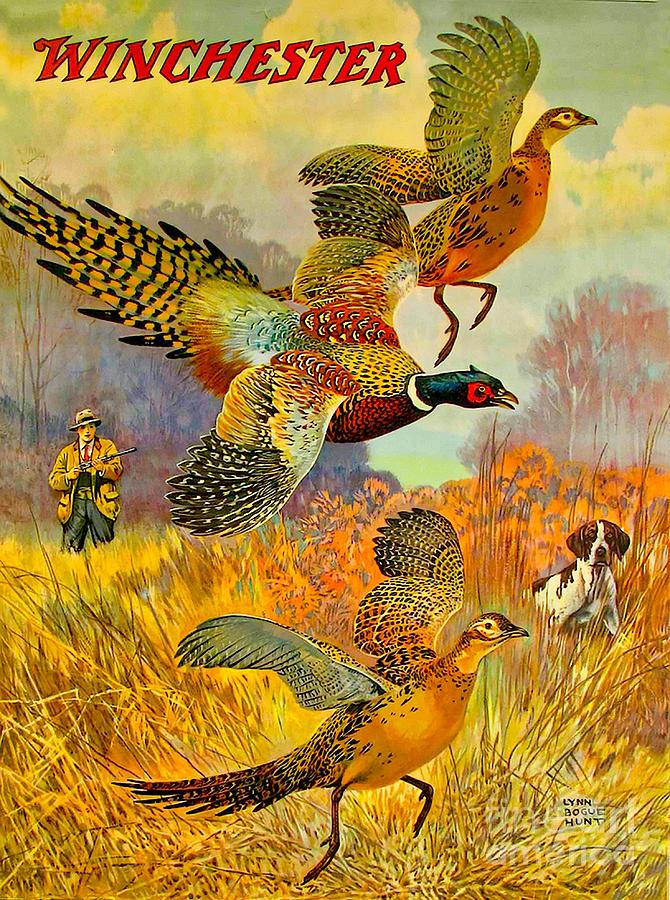 Pheasant Hunting Digital Art by Steven Parker
