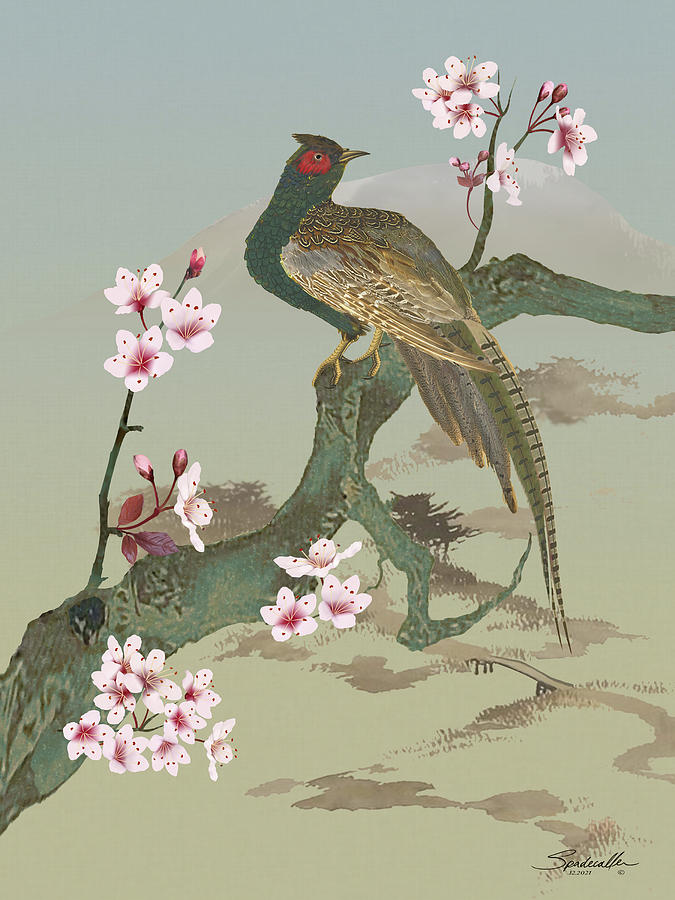 Pheasant in Cherry Tree Digital Art by M Spadecaller