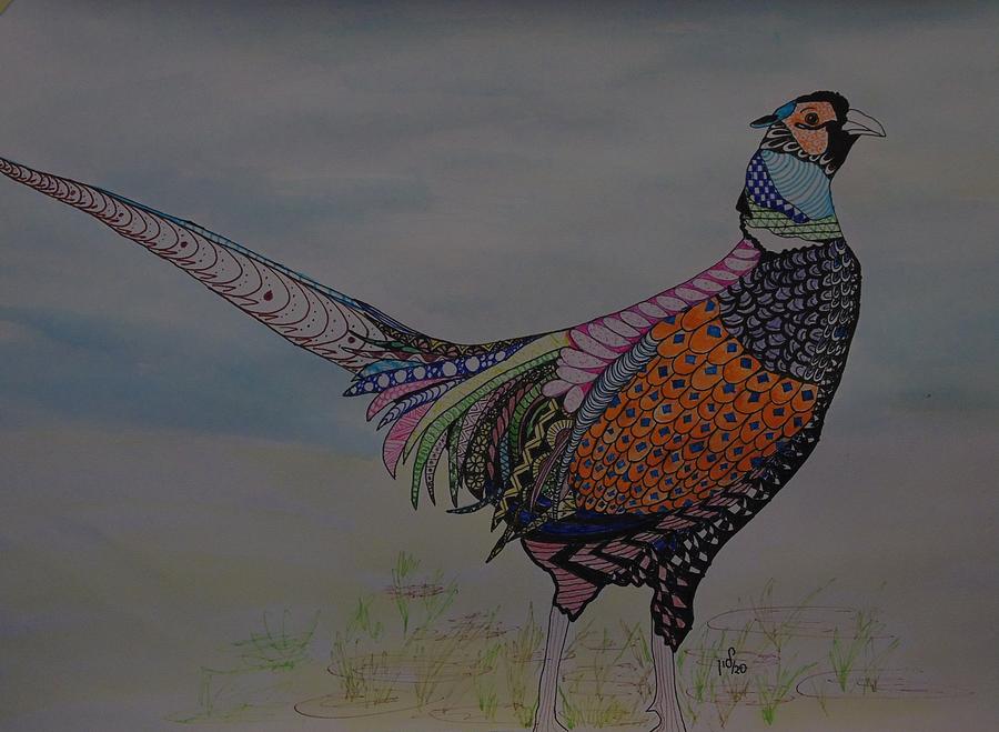 Pheasant Drawing by Maria Woithofer