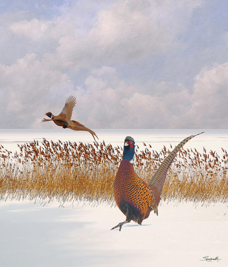 Pheasants at Frozen Lake Digital Art by M Spadecaller