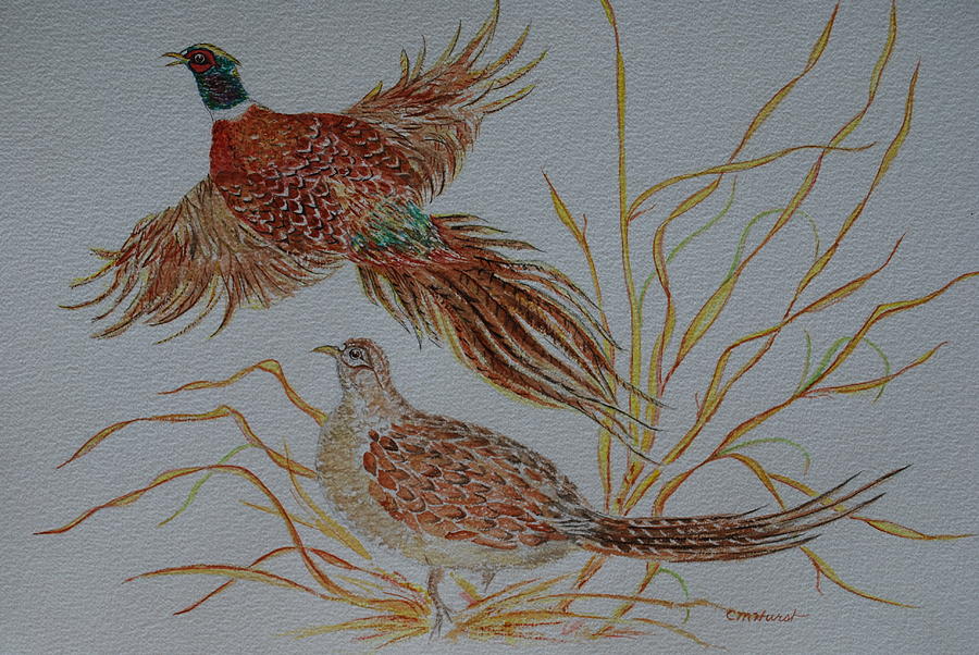 Pheasants Painting by Collette Hurst