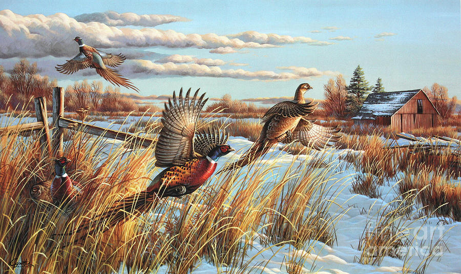 Pheasants Painting by Cynthie Fisher