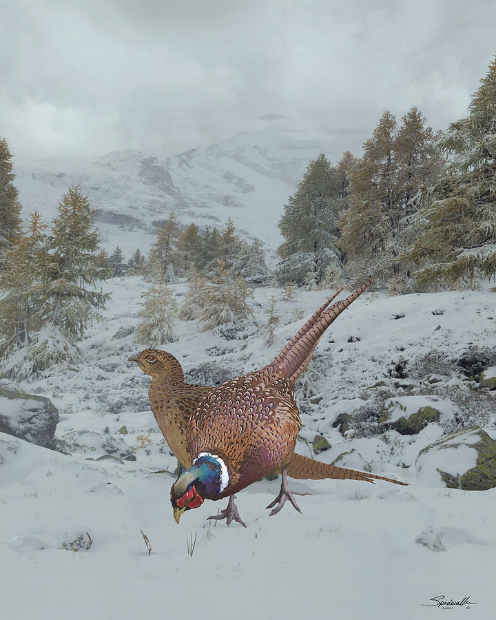 Pheasants in the Snow Digital Art by Spadecaller