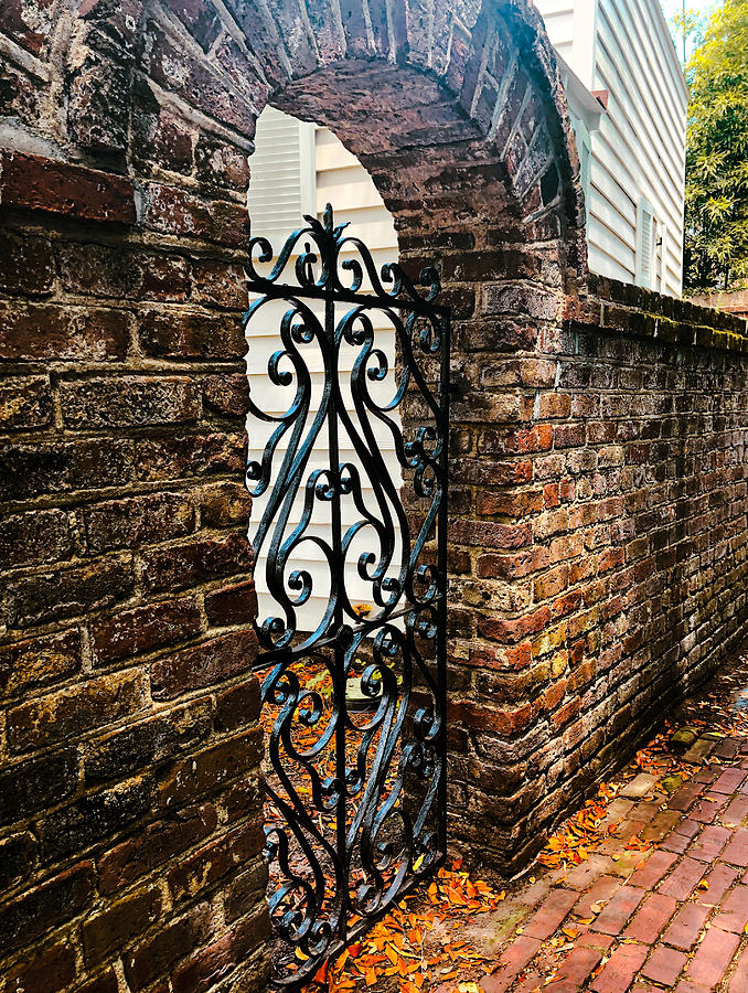 Philip Simmons Gate Photograph by Sydney Derrick - Fine Art America