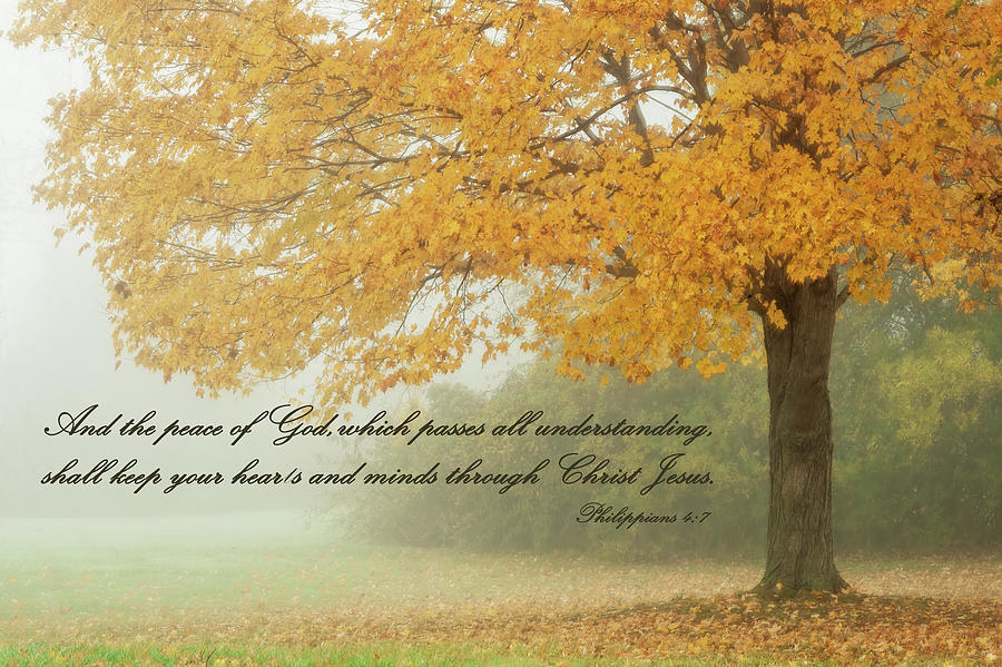 Philippians 4 7 Scripture and Picture Photograph by Ken Smith