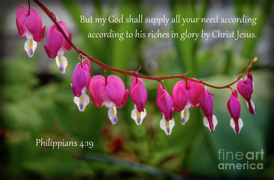 Philippians 4 Verse 19 Photograph By Robert Bales Pixels