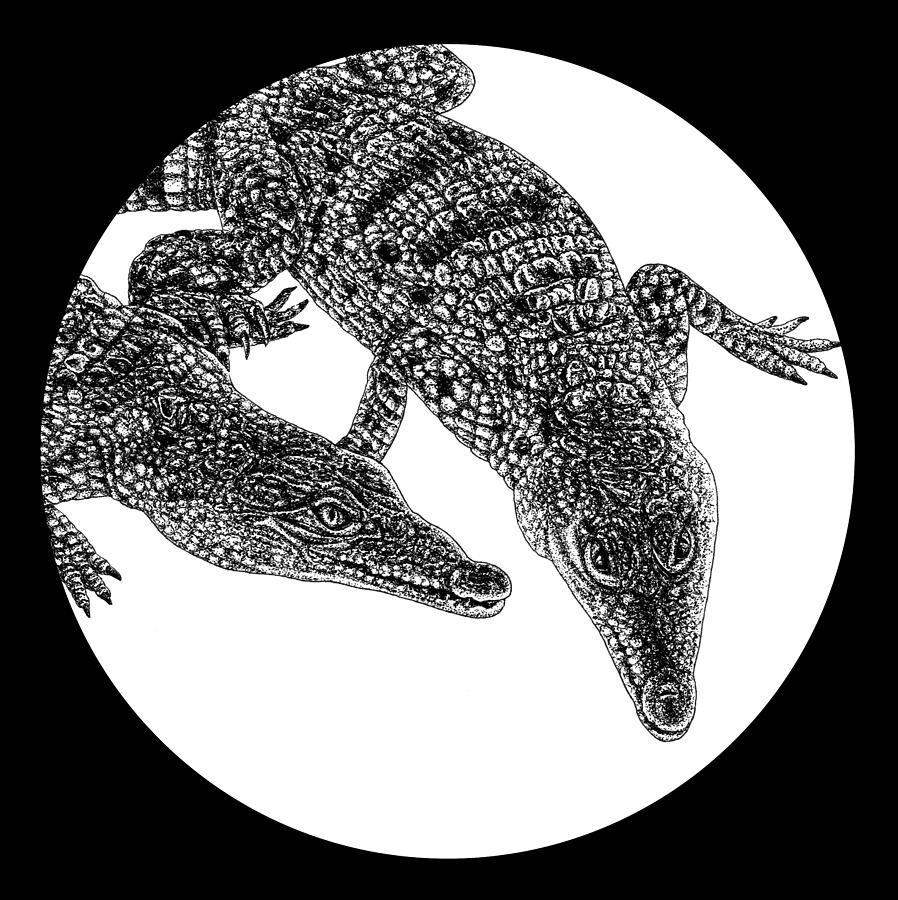 Philippine crocodiles illustration Drawing by Loren Dowding