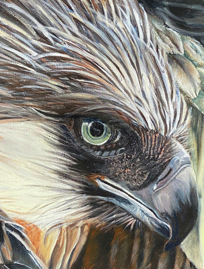 Philippine Eagle Painting by Kim Royle - Pixels