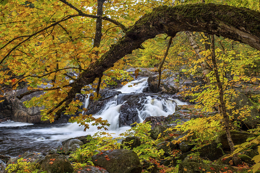 Phillips Brook Autumn Spiral Photograph by White Mountain Images