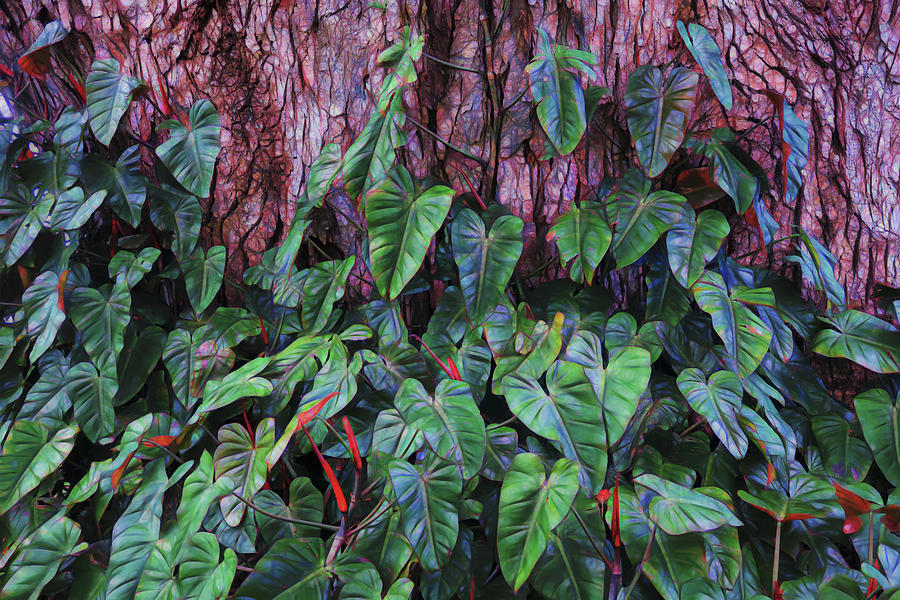 Philodendren 10 Photograph by Dawn Eshelman