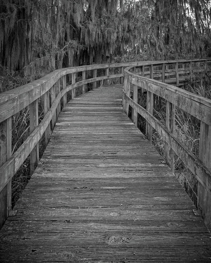 Phinizy Swap Nature Park - Boardwalk - Augusta GA - 1 Photograph by John Kirkland