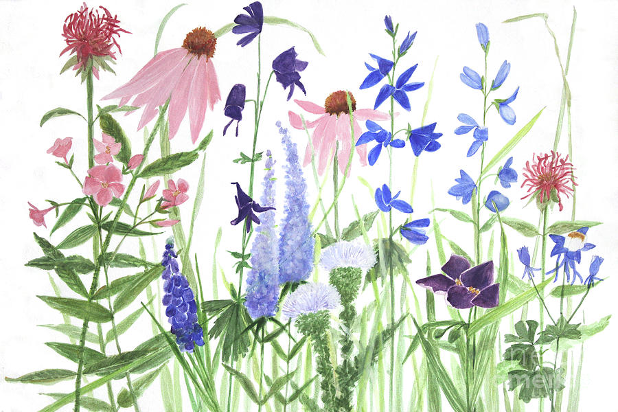 Phlox Speedwell Monkshood Garden Painting by Laurie Rohner Phlox Speedwell Monkshood Garden Painting by Laurie Rohner