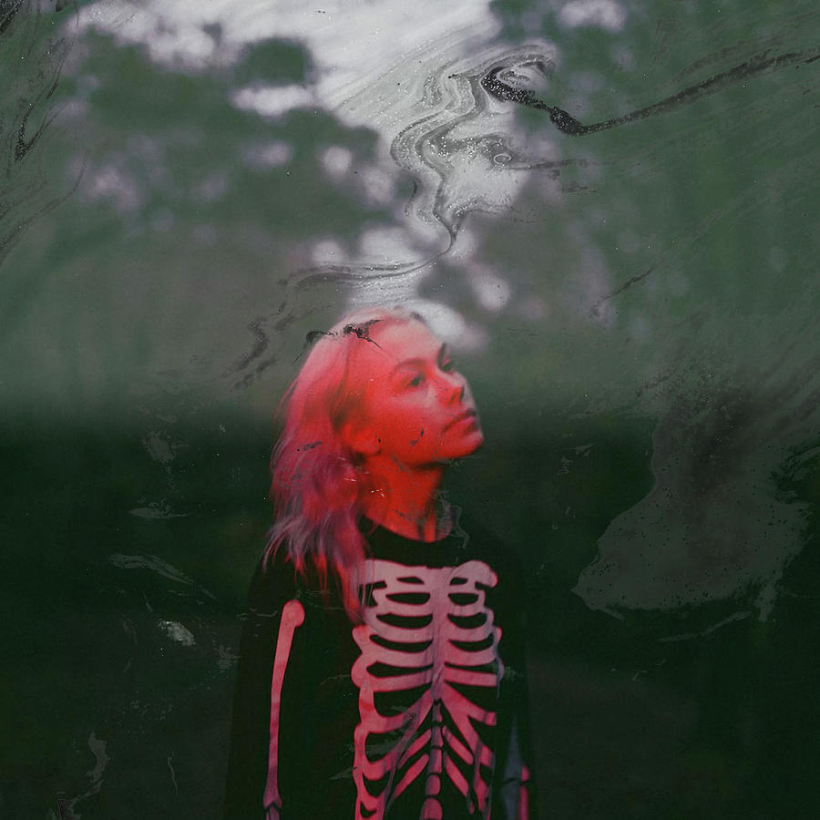 Phoebe Bridgers Art Digital Art by Thomas Gerhold - Fine Art America