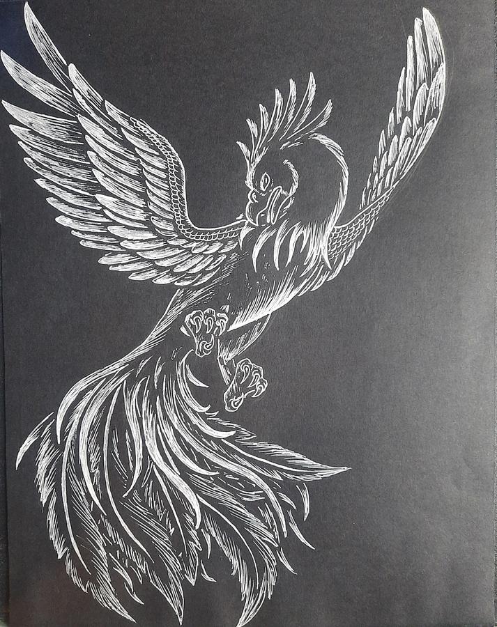 phoenix drawing