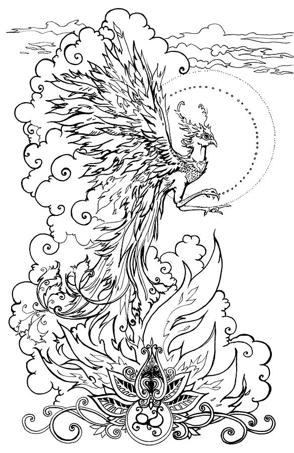 Phoenix of Renewed Passion - line art Drawing by Katherine Nutt