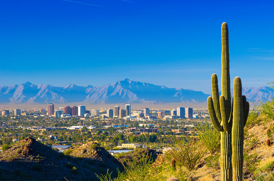 Phoenix skyline and cactus Photograph by Davel5957
