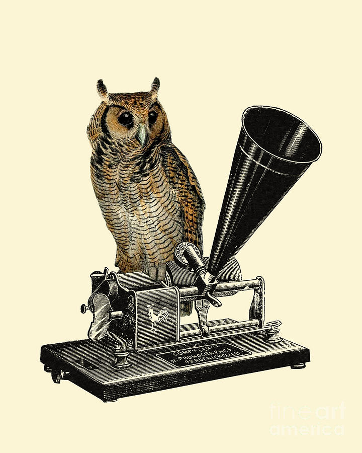 Owl Digital Art - Phonograph Owl by Madame Memento