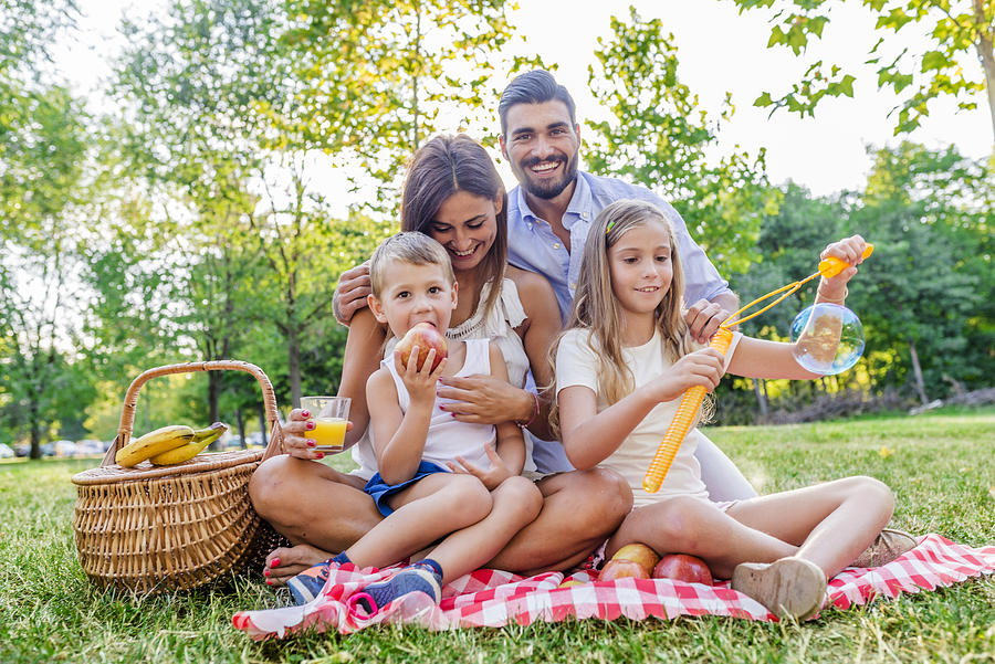 Photo of Family picnicking outdoors Photograph by Ljubaphoto