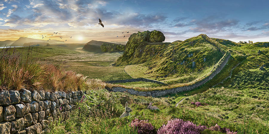 Photo of Hadrians Wall, Northumberland, England, UK Photograph by Paul E Williams