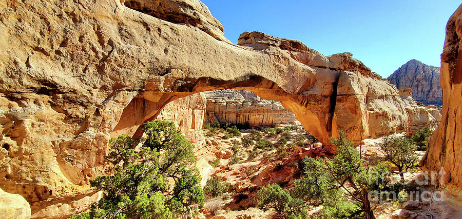 Photo Of Hickman Bridge Capitol Reef National Park By Traveling Artist And Blogger Meganaroon Photograph