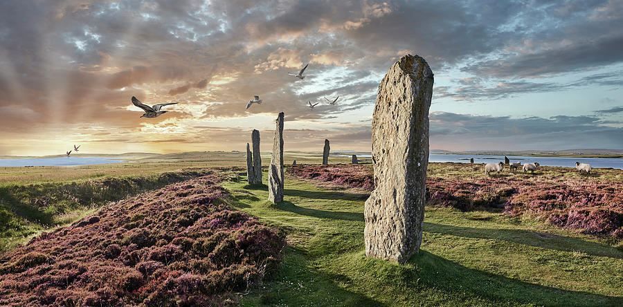 Ancient Stone - Photo of The Ring of Brodgar Stone Circle, Orkney Photograph by Paul E Williams