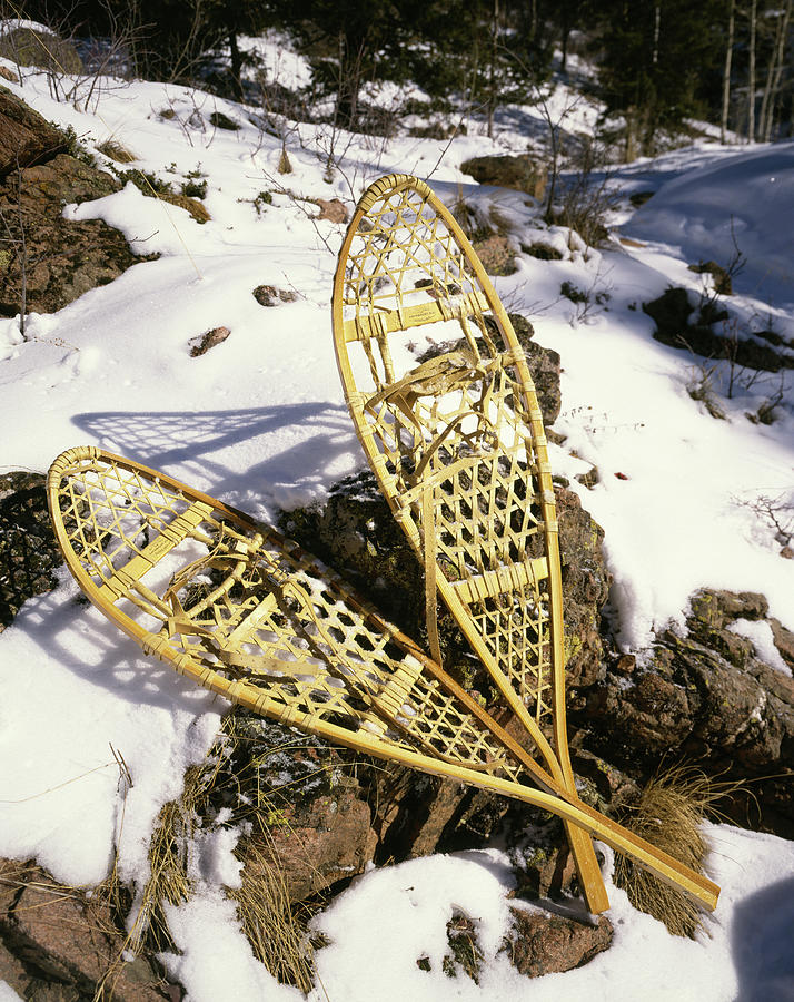 Photograph of snowshoes in forest in winter Photograph by Panoramic Images