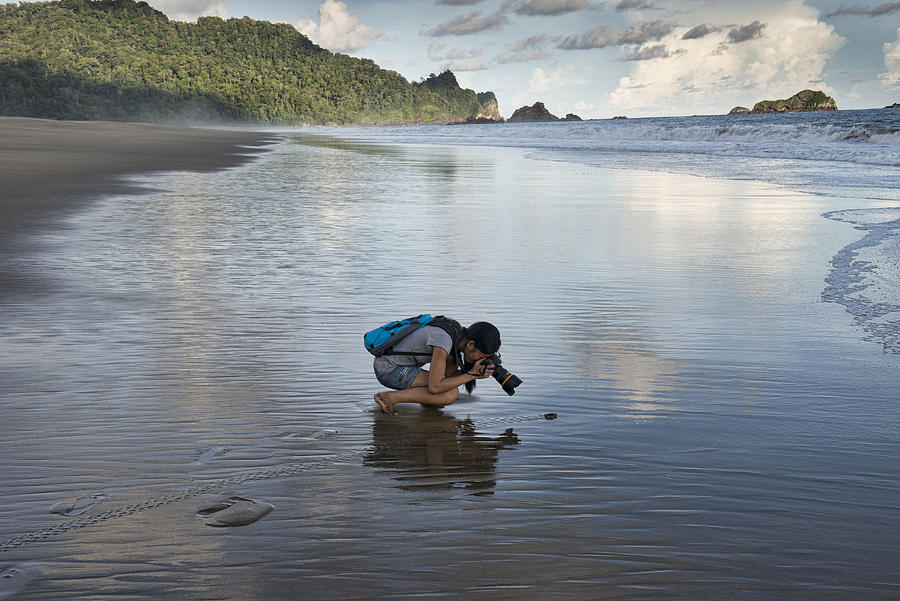 Photographer following baby turtle heading to sea Photograph by Dave Stamboulis Travel Photography