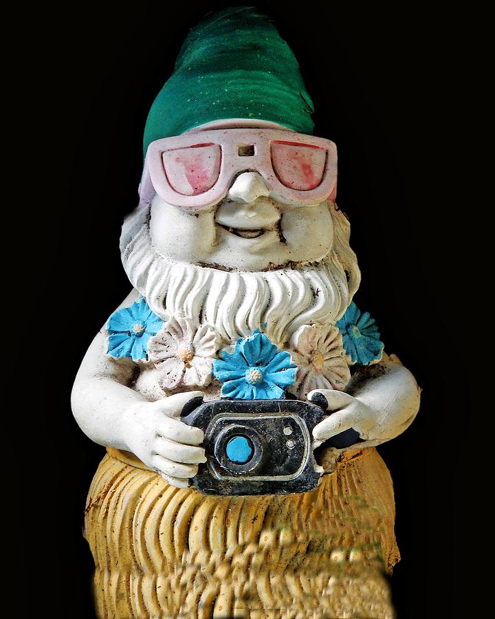 Photographer Gnome Photograph by Andrew Lawrence