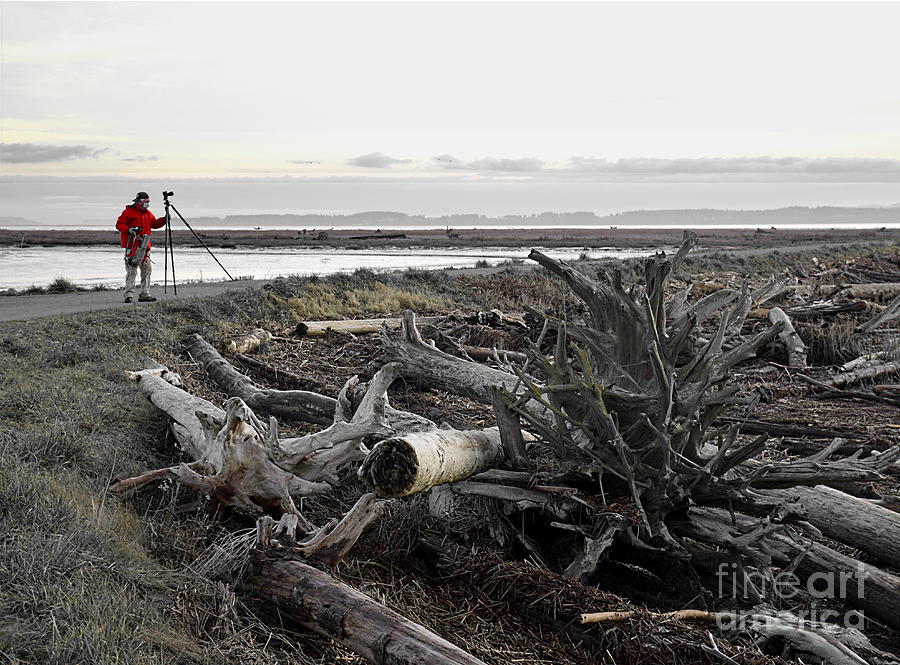Photographer in Red with Driftwood Photograph by Sea Change Vibes