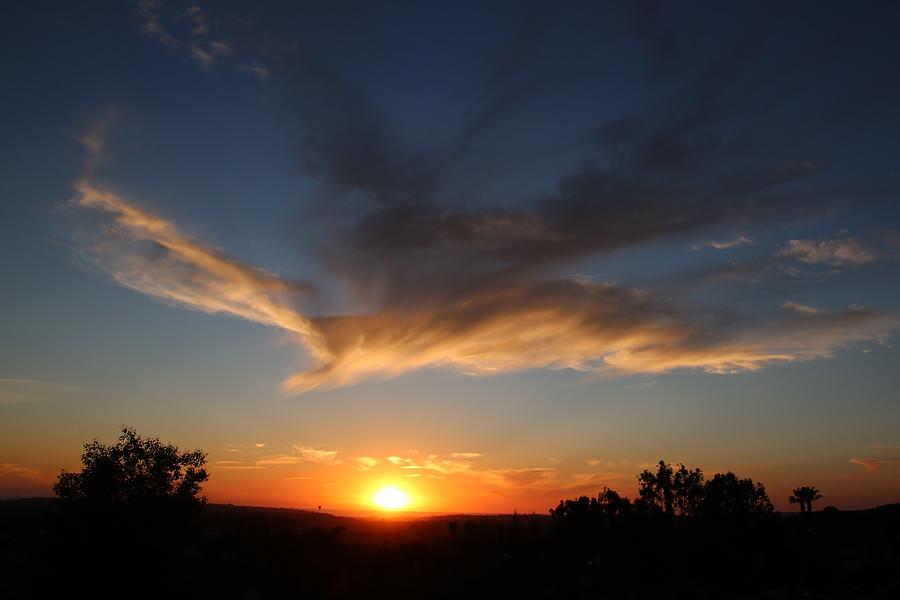 Phoenix Of Sunset Photograph By Rebecca Milkey - Fine Art America