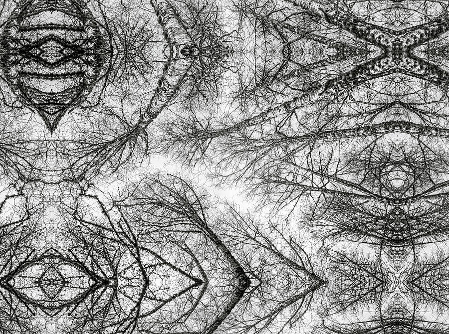 Winter Patterns Photograph by Robert Potts