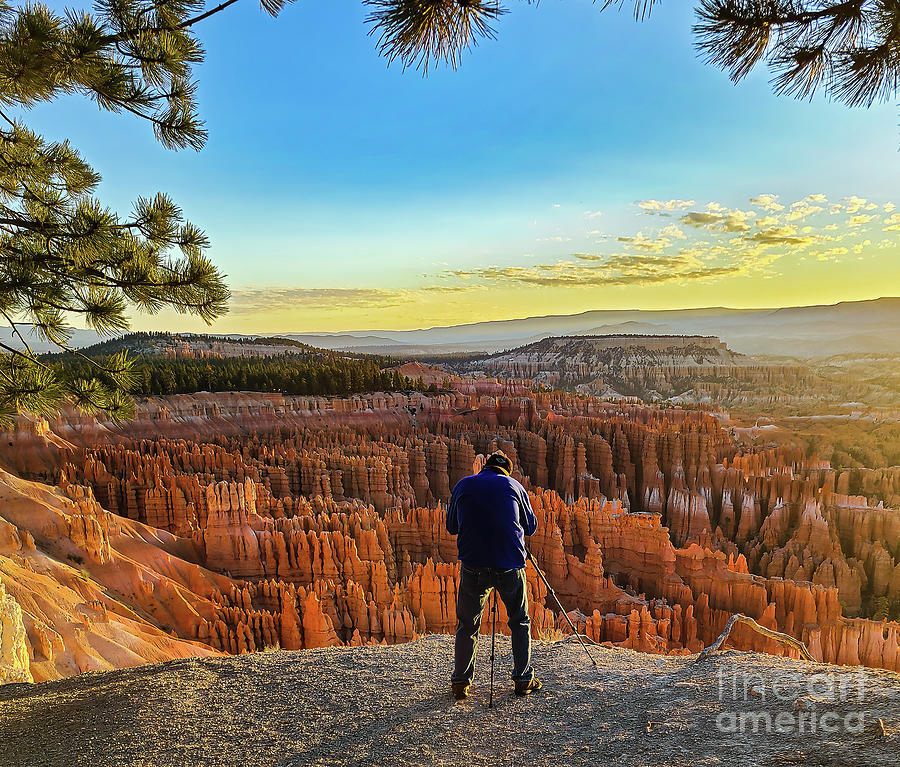 Photographers Dream at Bryce Canyon Photograph by Ron Long Ltd Photography