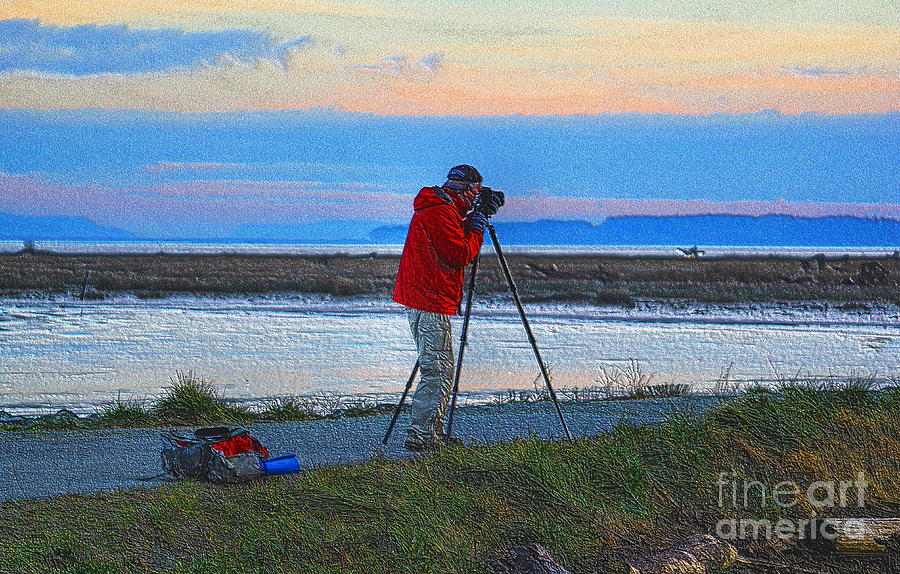 Photographing Hawks and Swans at Sunset Photograph by Sea Change Vibes