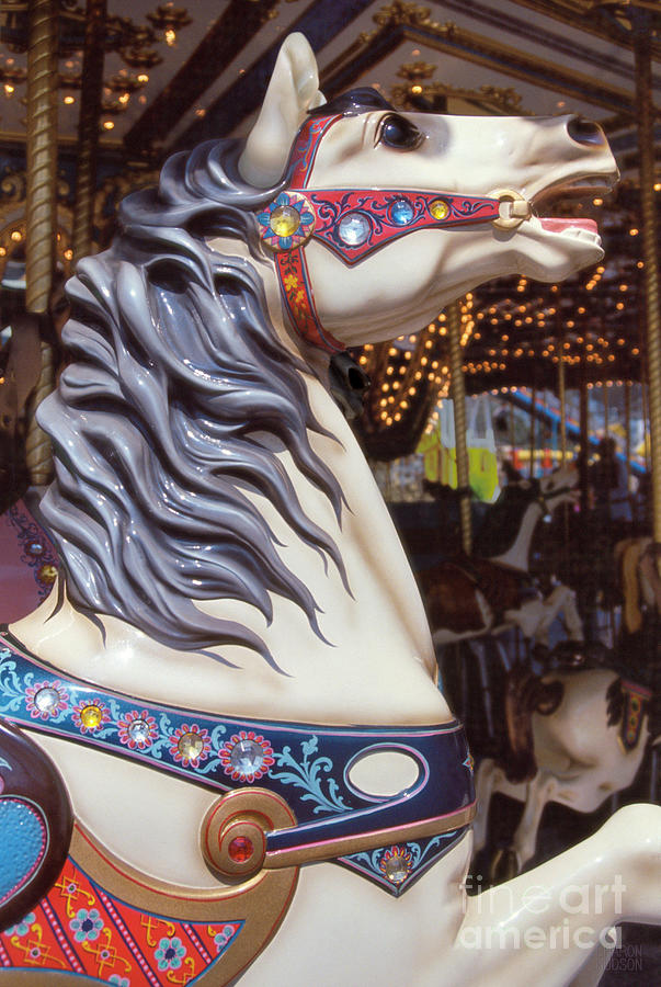 photographs of carousel horses - White Horse with Blue Mane Photograph by Sharon Hudson