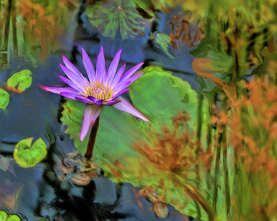 Purple Water Lily Flower Digital Art by Cordia Murphy