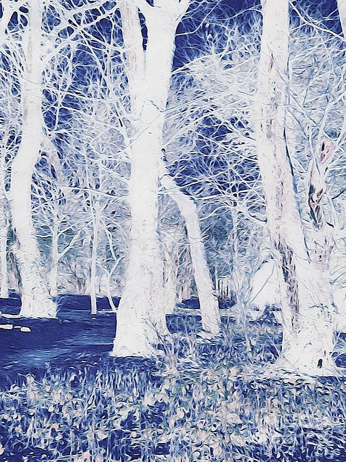 Photorealistic Abstract Trees Pr011 Digital Art