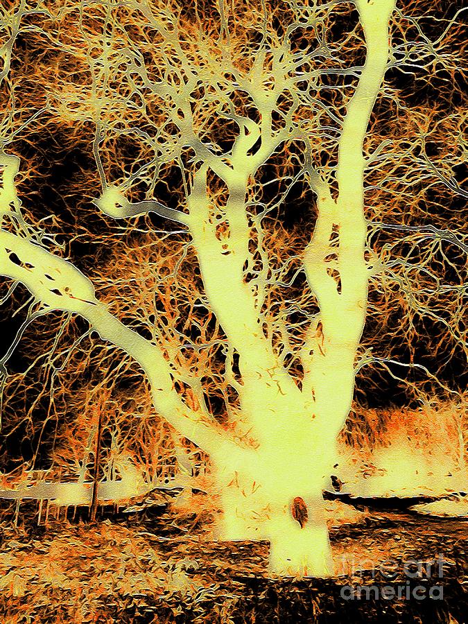Photorealistic Abstract Trees Pr032 Digital Art