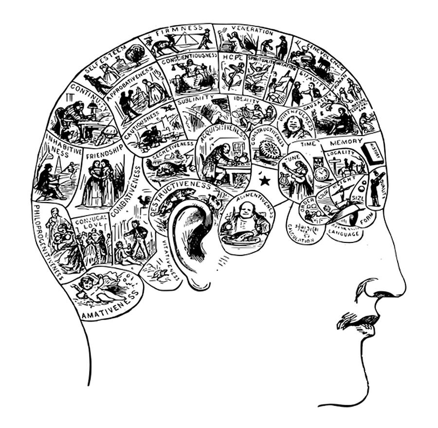 Phrenology chart from 1883. Black on White. Digital Art by Tom Hill ...