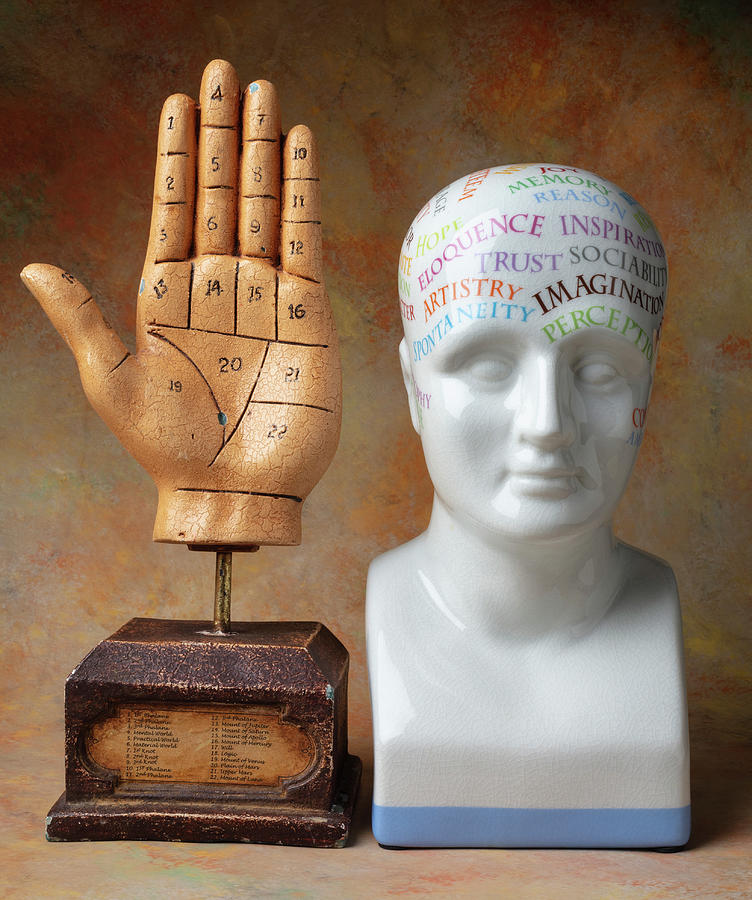 Vintage Photograph - Phrenology Head And Rascette Hand by Garry Gay
