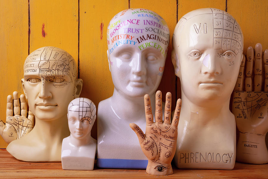 Vintage Photograph - Phrenology Heads And Rascette hands by Garry Gay
