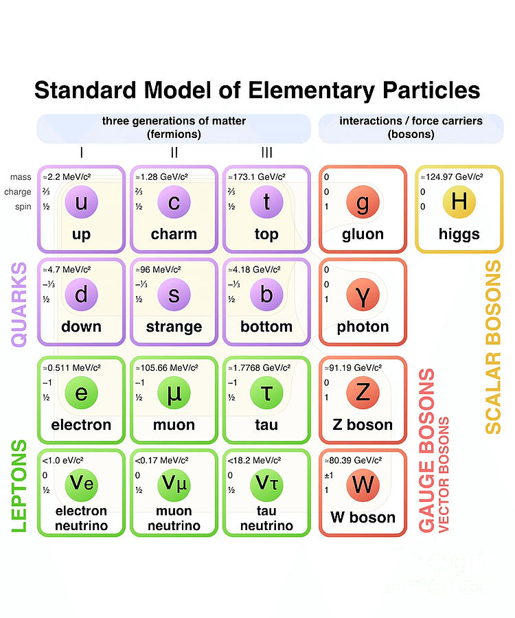 Physics Standard Model of Elementary Particles Physicist Poster Digital ...