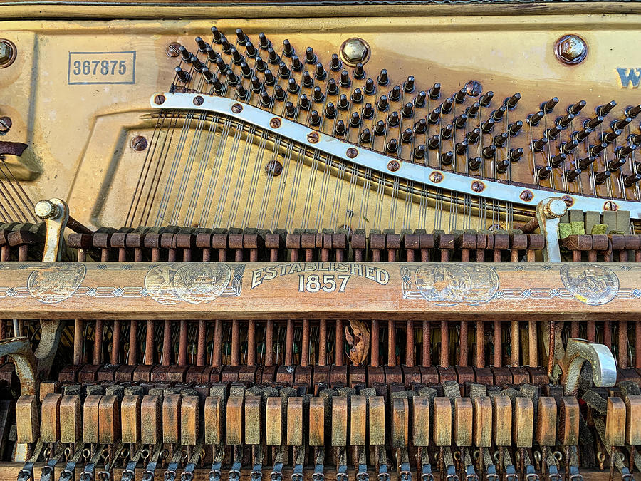 Piano Hammers and Strings Photograph by Bradford Martin