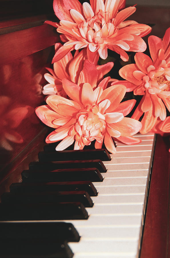 Music Photograph - Piano Flowers by Dan Sproul