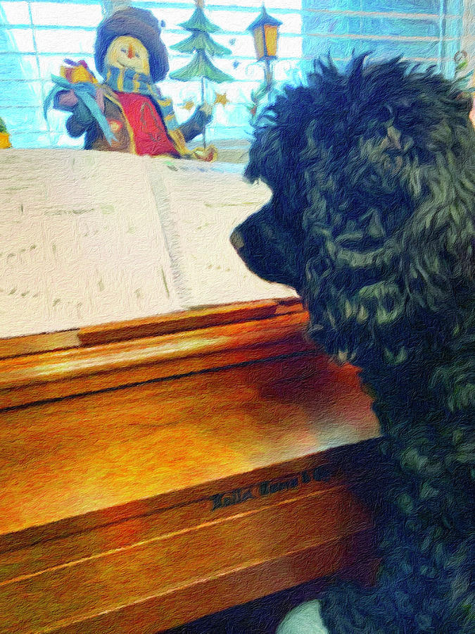 Piano Lessons for My Cocker Spaniel Photograph by Diane Lindon Coy