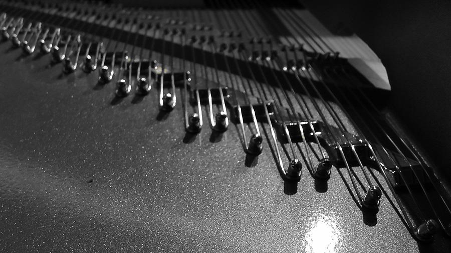 Piano Strings Strings Piano Music Photograph by Mona Master Fine Art