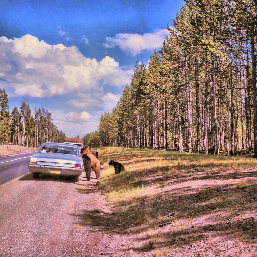 Yellowstone National Park Photograph - Pic-a-nic Baskets by Jamart Photography Yellowstone National Park Photograph - Pic-a-nic Baskets by Jamart Photography