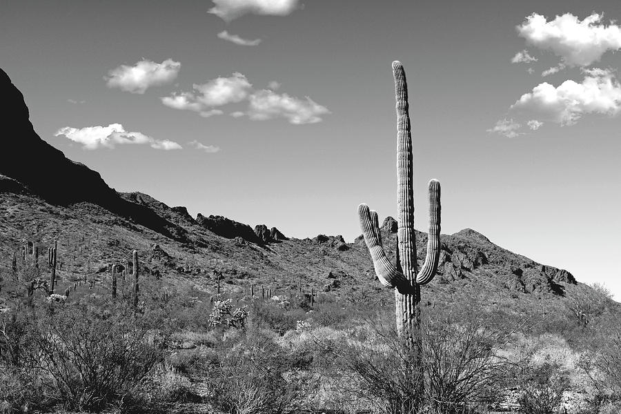 Picacho Pass AZ Photograph by Chris Smith