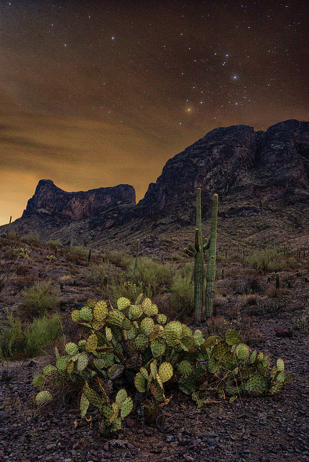 Picacho Peak Arizona at night Photograph by Dave Dilli