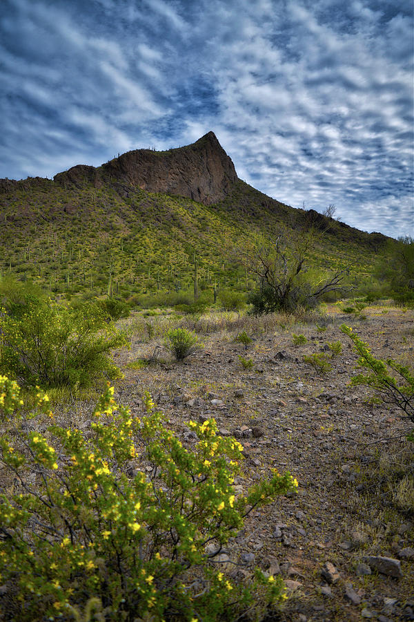 Picacho Peak, Arizona Photograph by Chance Kafka